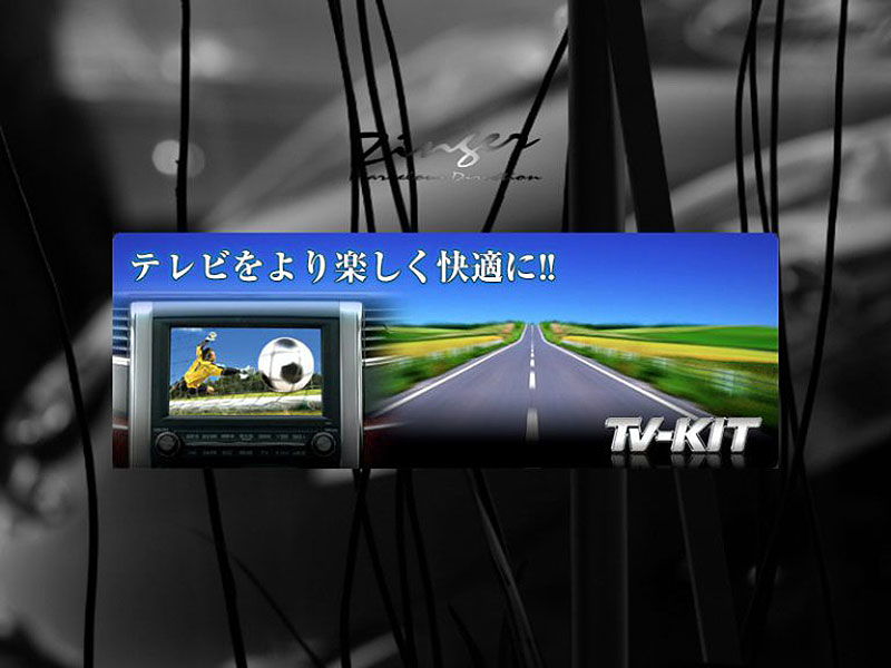 Data system Tvキャンセラー オート/切り替え