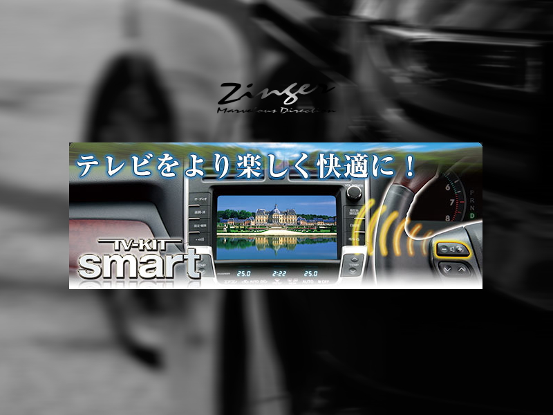 Data system Tvキャンセラー スマート