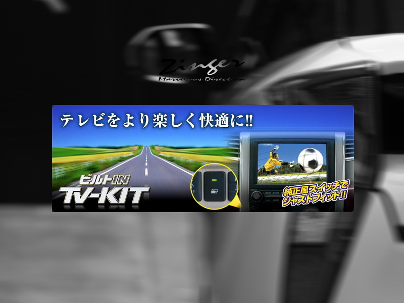 Data system Tvキャンセラー ビルトイン